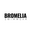 Bromelia Swimwear Icon