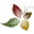 Petal Connection Icon