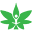CBD World Online Icon
