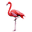 Bella Paradise Icon