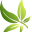 Hemp For Pets Icon