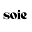 Soei CA Icon