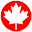 The Canadian Drug Store Icon