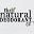 The Natural Deodorant Co. Icon