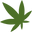 NAM Wellness Products Icon