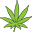 Cheeba's Icon