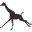 Cheyenne Mountain Zoo Icon