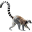 Brandywine Zoo Icon