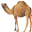 GarLyn Zoo Wildlife Park Icon