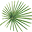 Delfin Amazon Cruises Icon