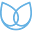 Catwater Icon