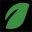 Nature's Rooted Wisdom Icon