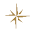 Amadeus Cruises Icon