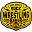 Chris Jericho Cruise Icon
