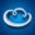 White Cloud Security Icon