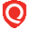 Qualys Icon