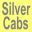 Silver Cabs Grantham Icon