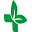 The Natural Pharmacy Icon