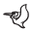 Pelican Sport Icon