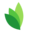 Sprigg HR Icon