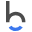 Bizneo Icon