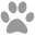 Cougar Life Icon