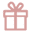 Something New Bridal Box Icon