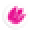 Tulip Color Icon