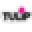 Tie Dye Your Summer Icon