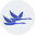 Continuent Icon