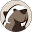 DBeaver Icon