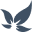 VidaCann Icon
