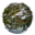 Ryzom Icon