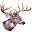 Jay's Sporting Goods Icon