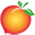 Georgia Lottery Icon