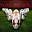 Better Football Icon
