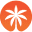 Rich Palms Icon