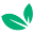 Fruity Casa Icon