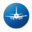 Flight Store Icon