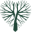 Tribe Pilates Icon