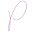 Purpur Icon