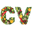 CV Harvest Box Icon
