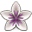 Vellum Icon