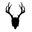 Mad Rabbit Icon