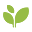 The Good Leaf Icon