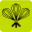 The Avenue Cookery School Icon