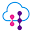CapriceTech Icon