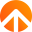 Vanguard Systems Icon