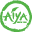 Aiya America Icon