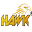 Hawk Sports Icon